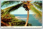 Tropical Splender, Bahamas, Vintage Post Card