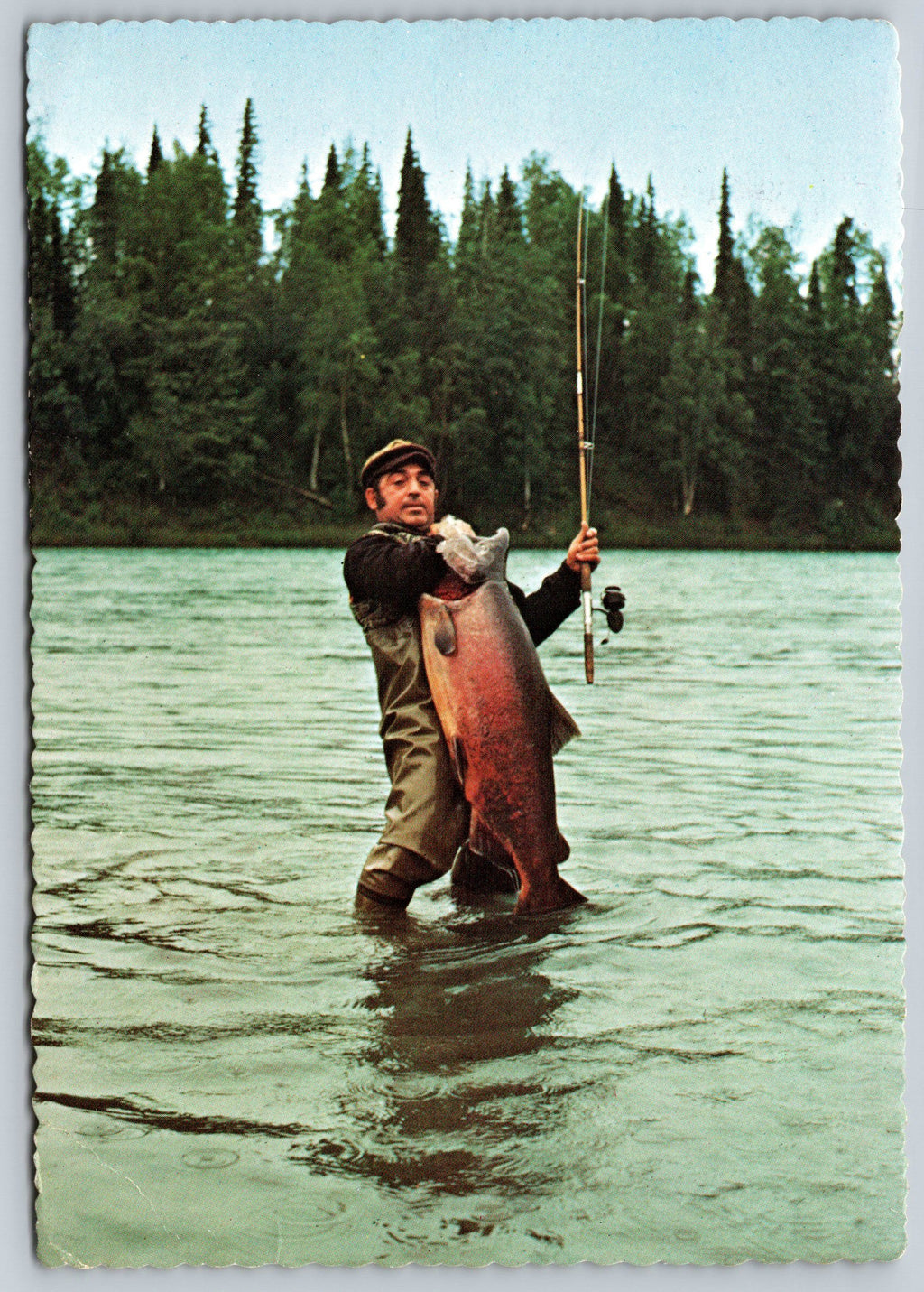 Alaskin Chinook Salmon, Man Fishing, Vintage Post Card