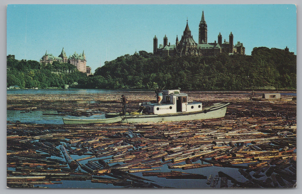 Sorting Pulpwood Logs For Paper Making In Ottawa River, Canada, Vintage Post Card.