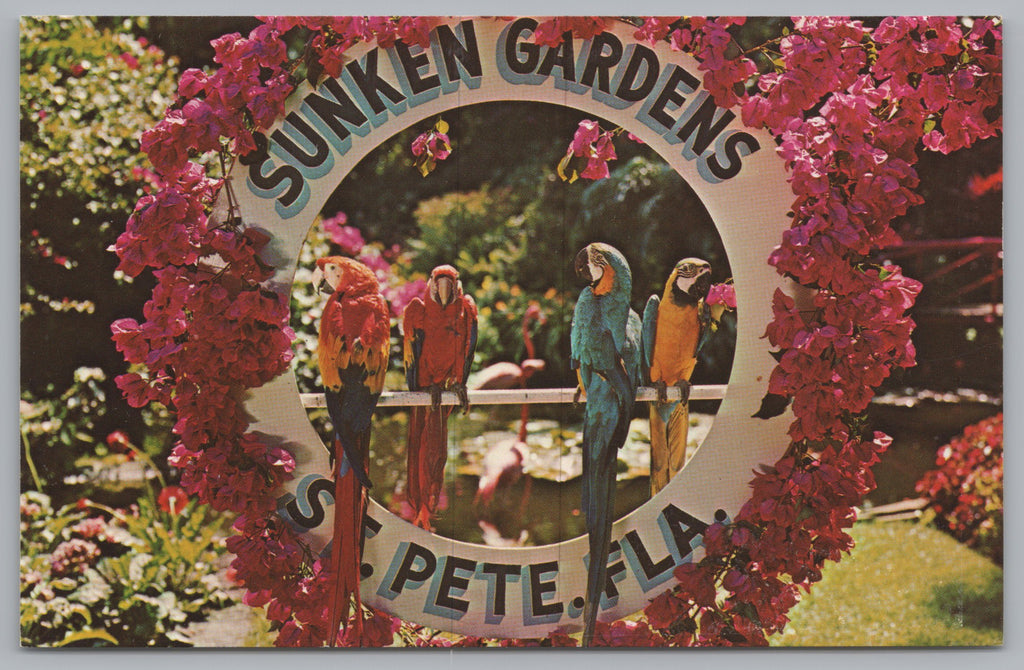 Florida’s Sunken Gardens, St. Petersburg Floral Showcase, USA PC