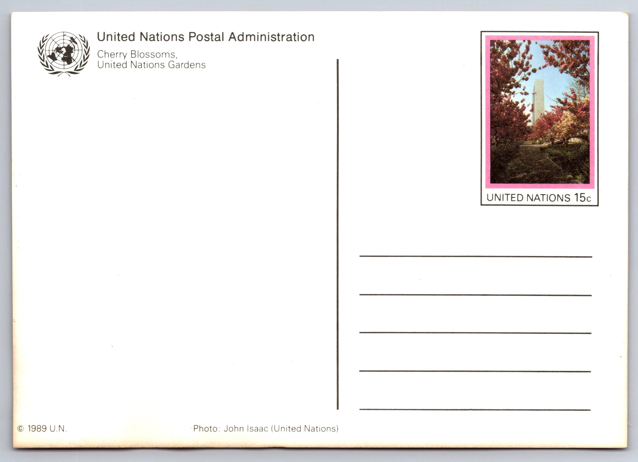 Cherry Blossoms, United Nations Gardens, Vintage Post Card