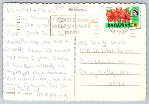 Tropical Splender, Bahamas, Vintage Post Card