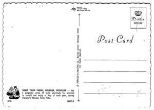 Nelis Tulip Farms, Holland, Michigan, Vintage Post Card