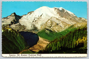 Mt. Rainier National Park, USA, Vintage Post Card