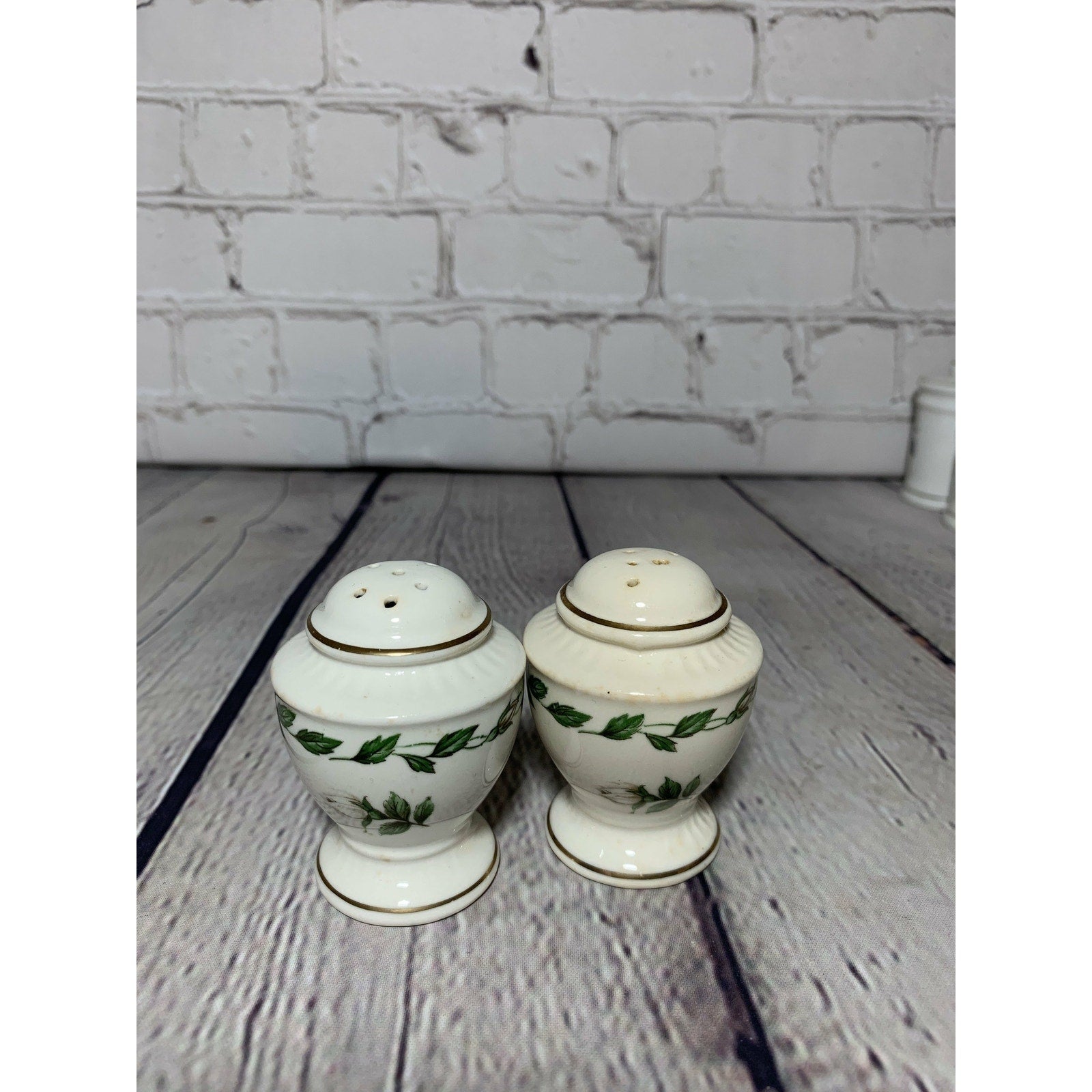 Vintage MCM White Rose Vines Handpainted Fine Porcelain Salt & Pepper Shakers