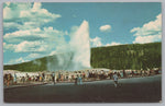 Old Faithful Geyser, Upper Geyser Basin, Yellowstone National Park, California, VTG PC