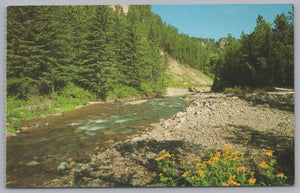 Spearfish Canyon, Black Hills, South Dakota, USA, Vintage Post Card