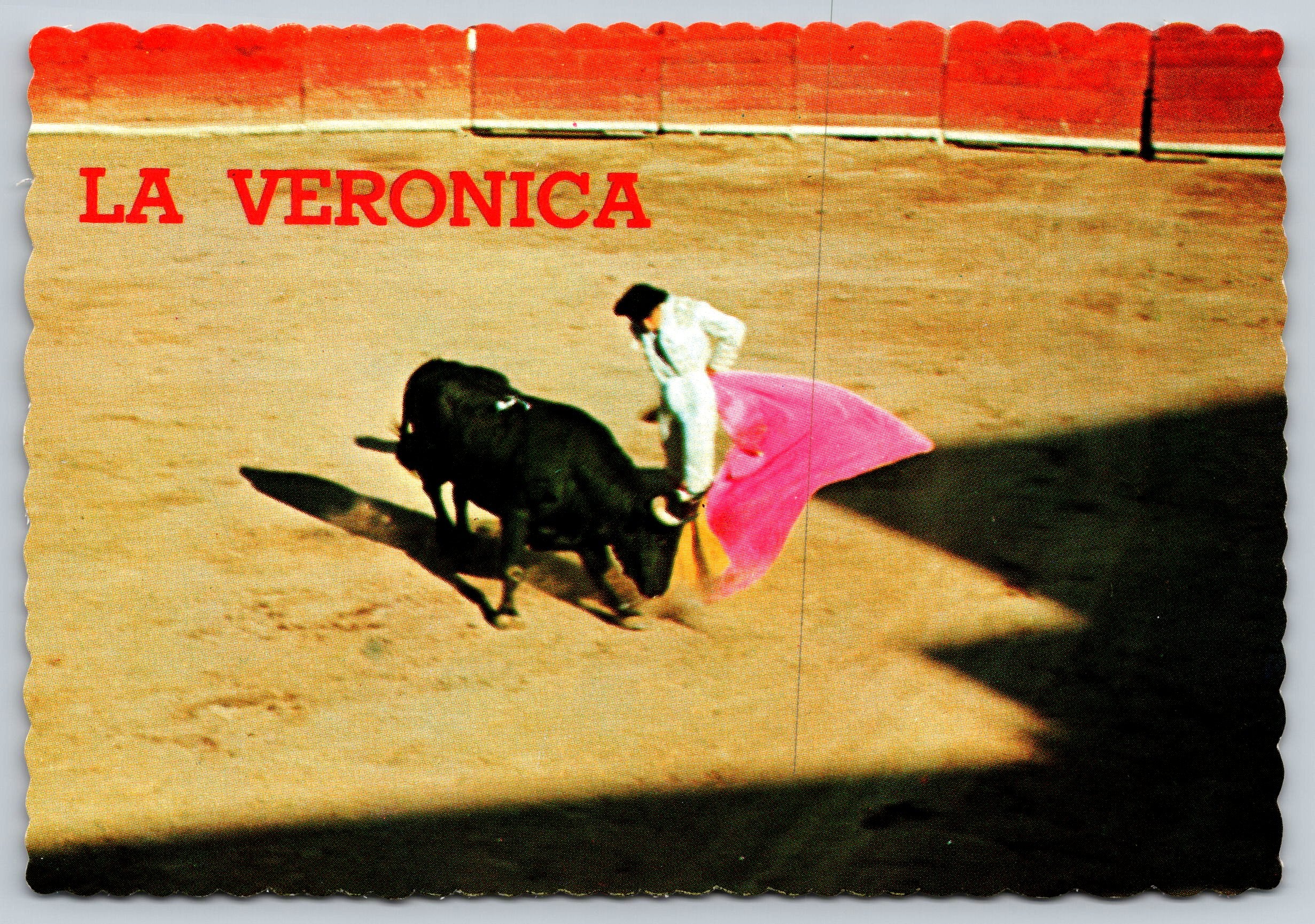 La Veronica, Bull Fight, Old Mexico, Vintage Post Card