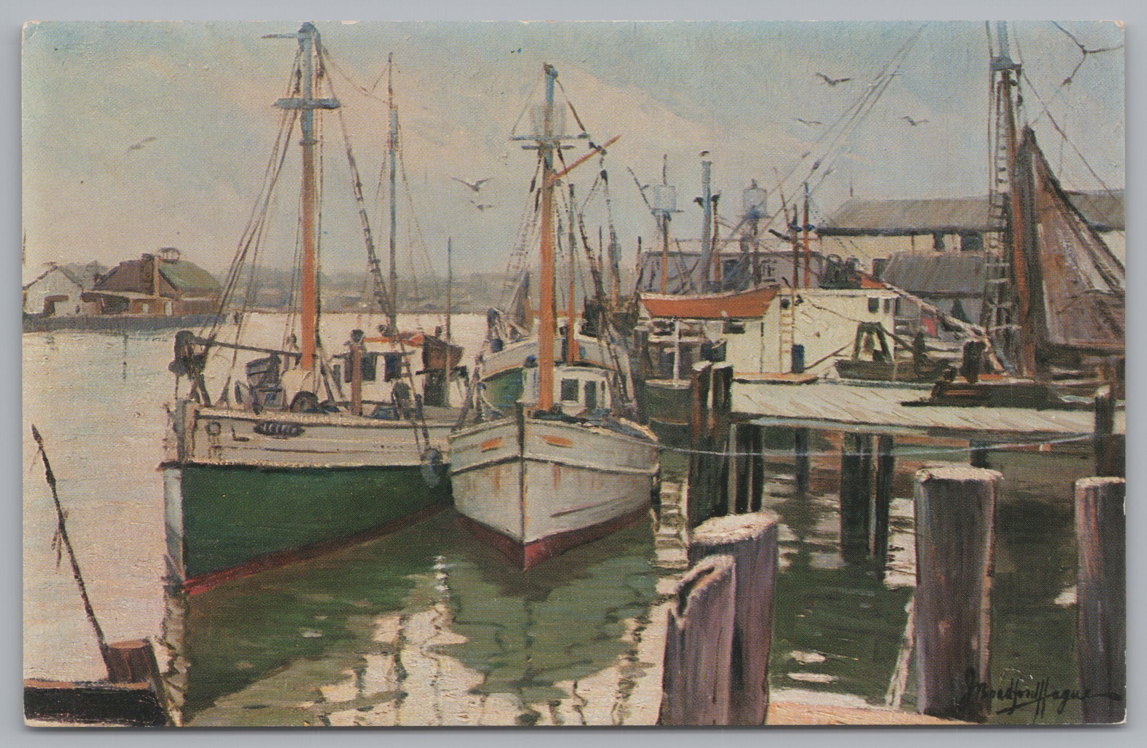 The Harbor, Rockport on Cape Ann Fishing Boats, Vintage Post Card.