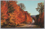 View Algonquin Park In Autumn, Ontario, Canada, Vintage PC