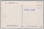 Niagara Falls From Michigan Central Train, Vintage Post Card.