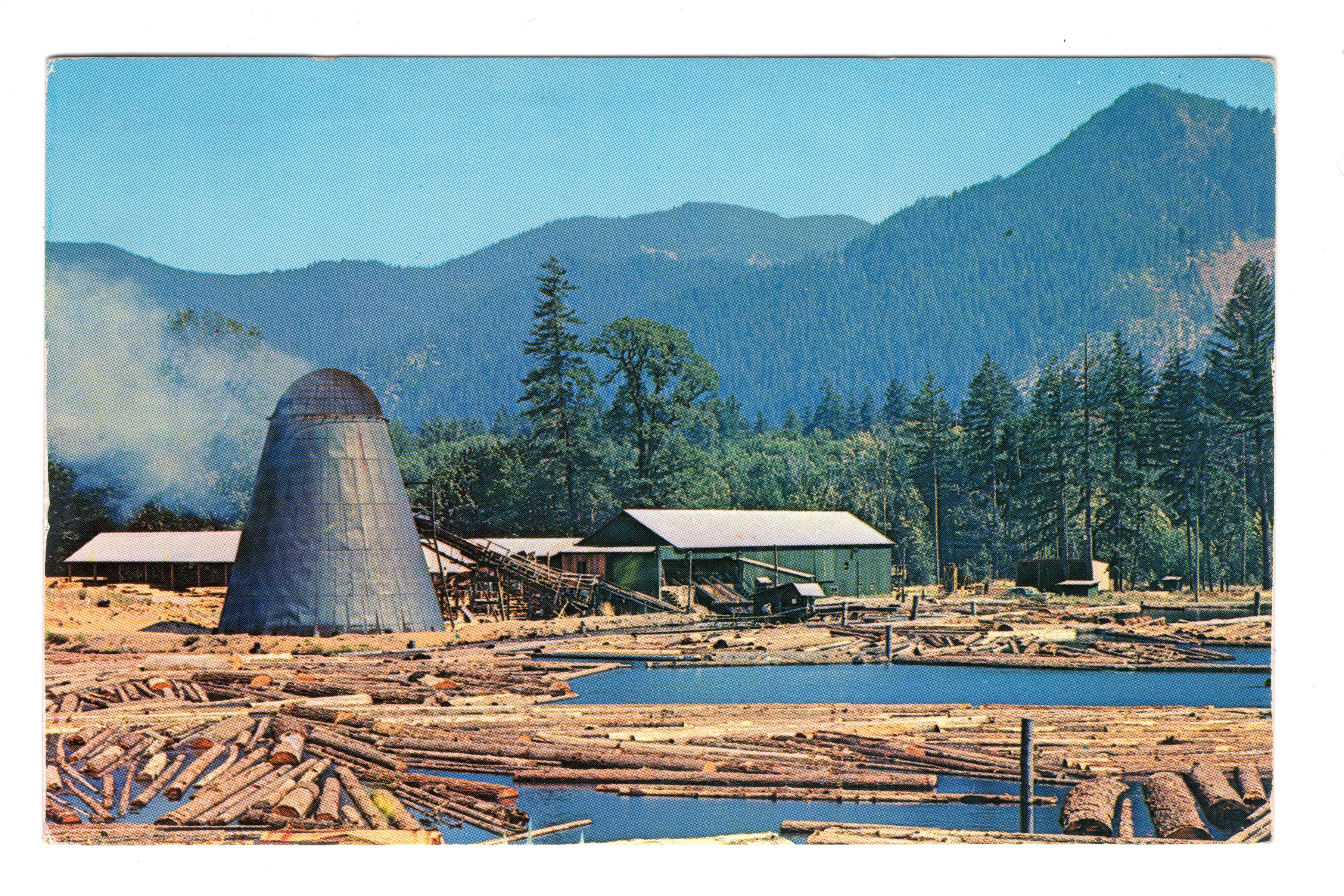A Northwest Sawmill and Log Pong, Vintage Post Card.