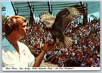 Bird Show, San Diego, Wild Animal Park, Vintage Post Card