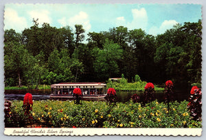Florida, Silver Springs, Vintage Post Card