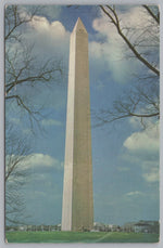 Washington DC, The Washington Monument, Vintage Post Card.