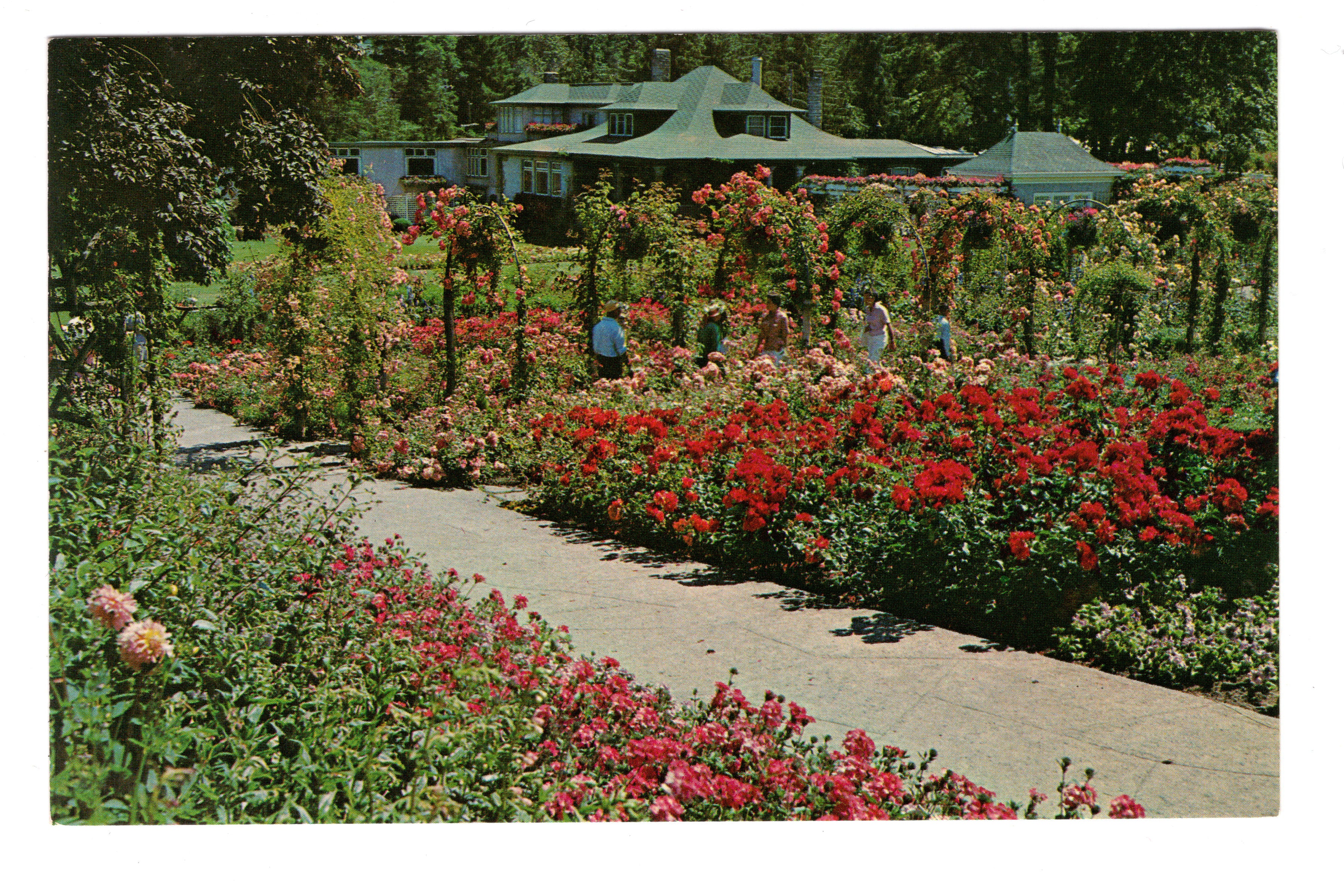 The Butchart Gardens, Vintage Post Card.