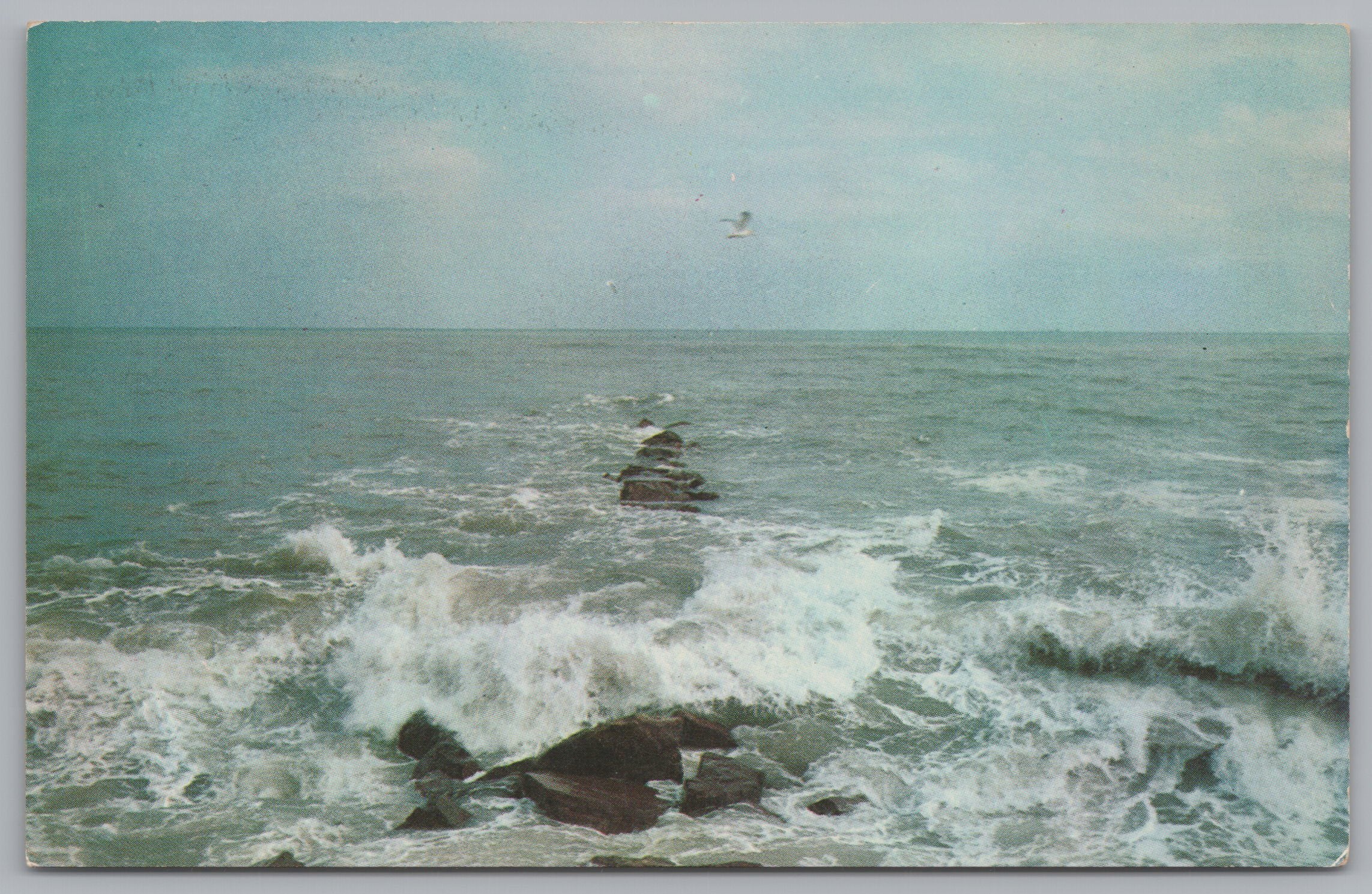 Beautiful Ocean Waters, Seagulls Flying Above, Rocks Above Water Level, Vintage Post Card.
