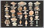 Dodson’s Shell Shop, Shells Found On The Coast Of Florida, Vintage Post Card.