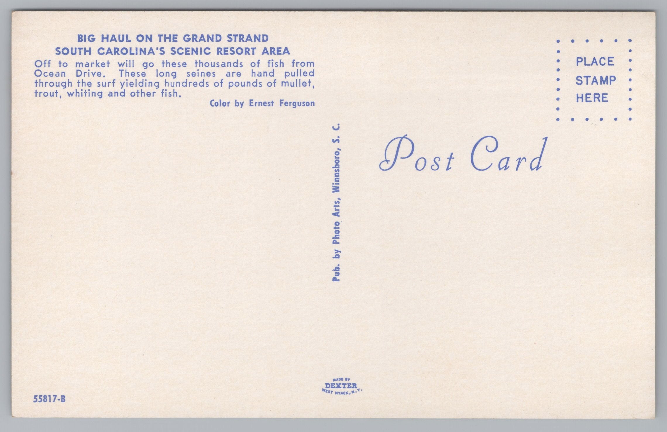 Big Haul On The Grand Strand, South Carolinas Scenic Resort Area, Vintage Post Card.