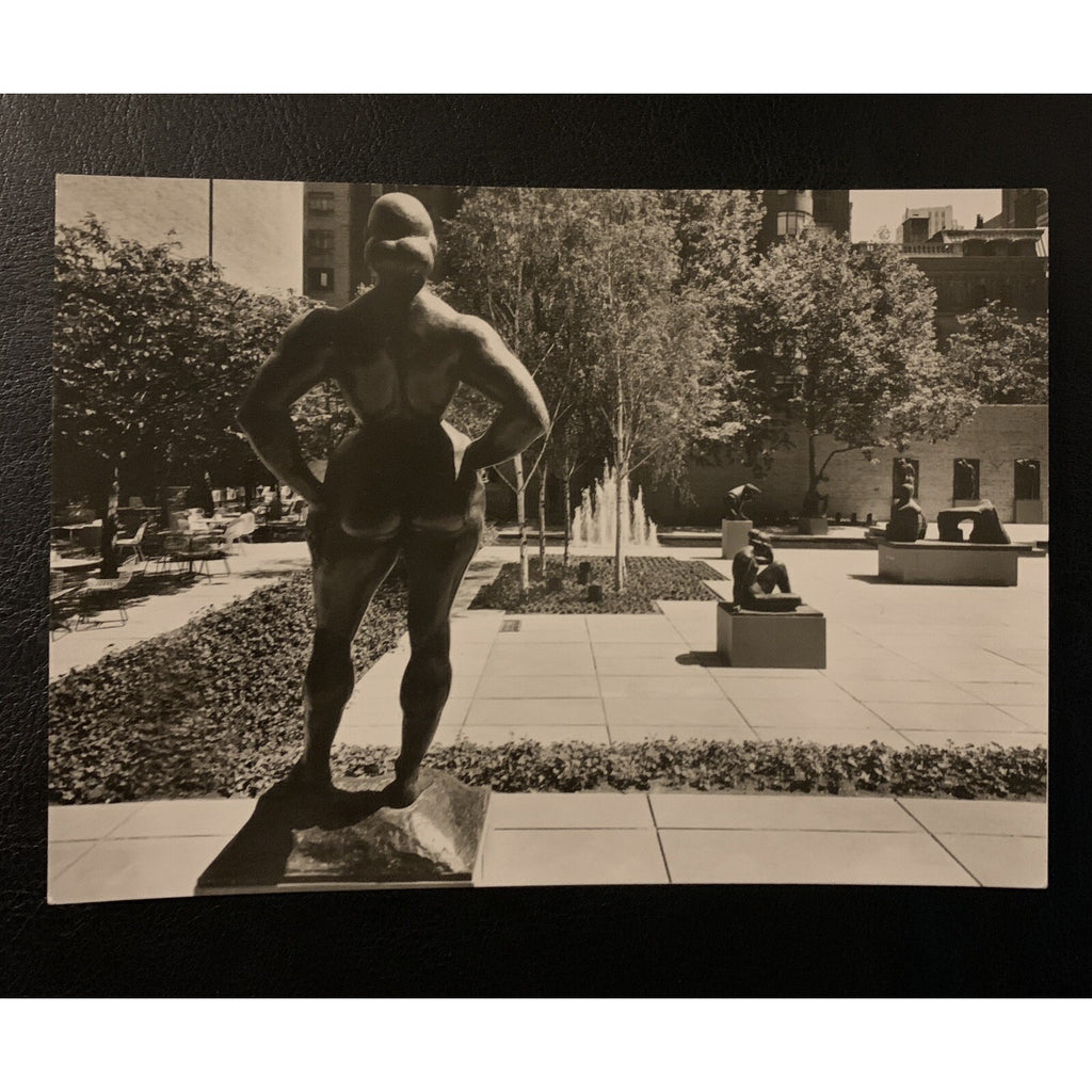 Vintage Abby Aldrich Rockefeller Garden The Museum of Modern Art-Photo Postcard