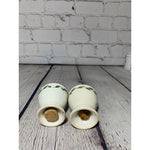 Vintage MCM White Rose Vines Handpainted Fine Porcelain Salt & Pepper Shakers