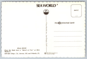 Seals, Sea World, Florida, Vintage Post Card