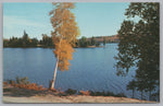 View Algonguin Provincial Park, Lake Of 2 Rivers, Vintage PC