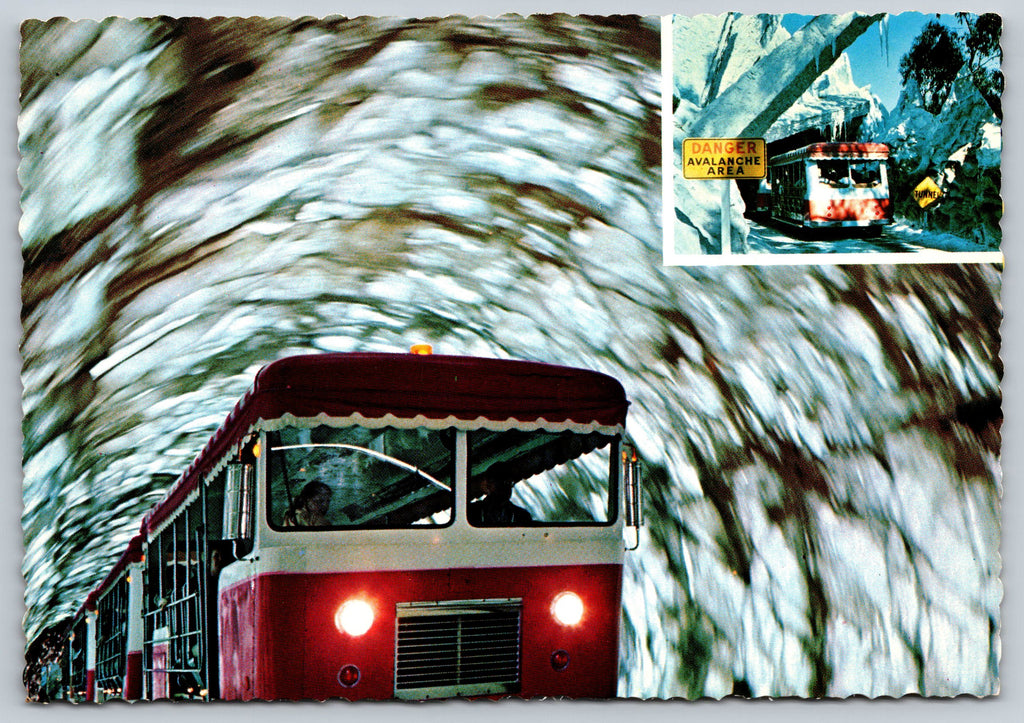 Doomed Glacier, Universal Studios, Vintage Post Card