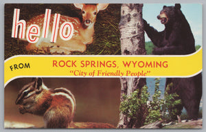 Greeting Card From Rock Springs, Wyoming, USA, Vintage Post Card.
