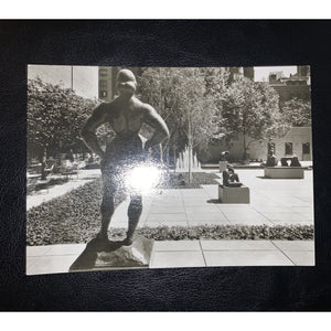 Vintage Abby Aldrich Rockefeller Garden The Museum of Modern Art-Photo Postcard