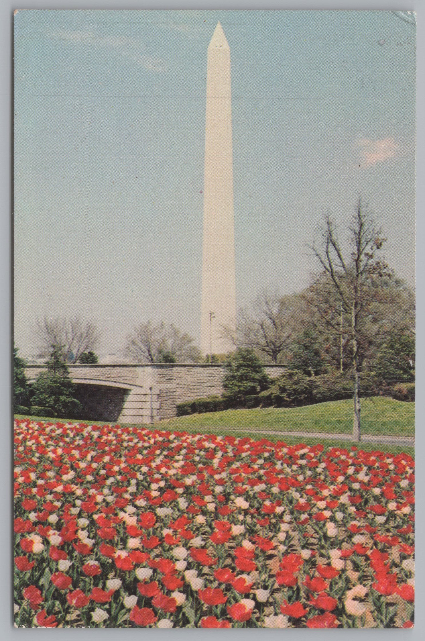 Washington Monument From A Distance, Washington DC, Vintage Post Card.