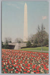 Washington Monument From A Distance, Washington DC, Vintage Post Card.