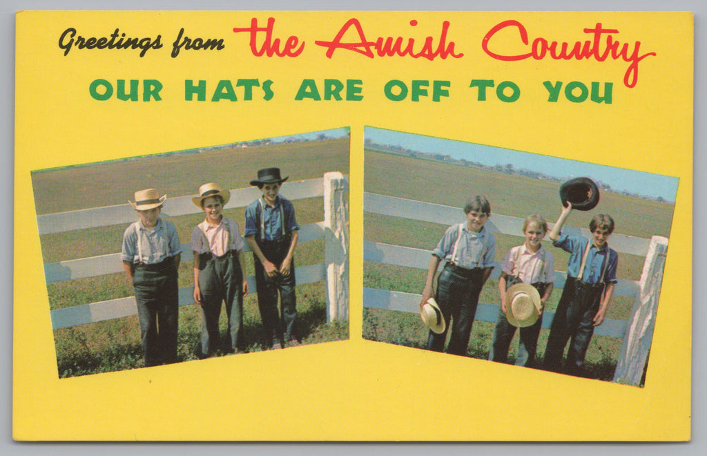 Greeting The Amish Country, Pennsylvania Dutch County, USA, VTG PC