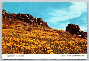 Spring on The Desert, Vintage Post Card