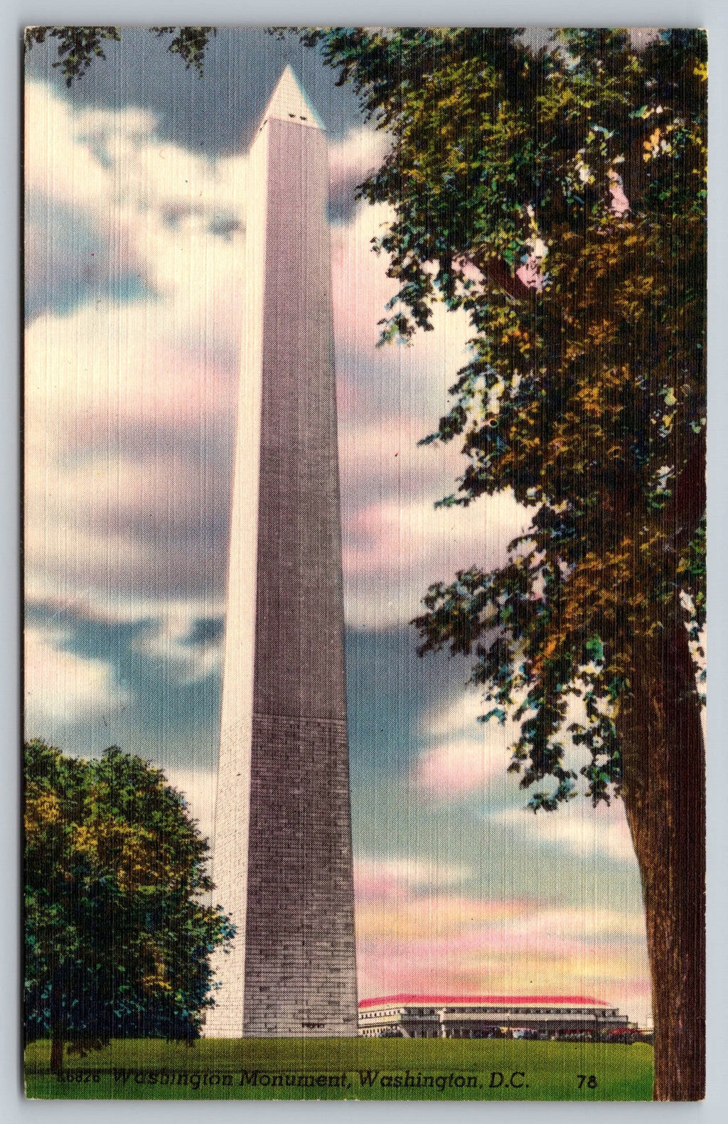 Washington Monument, Washington DC, USA, Vintage Post Card