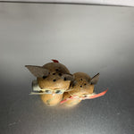 Vintage Wooden Enesco Magnetic Cat Couple Salt & Pepper Shakers Japan
