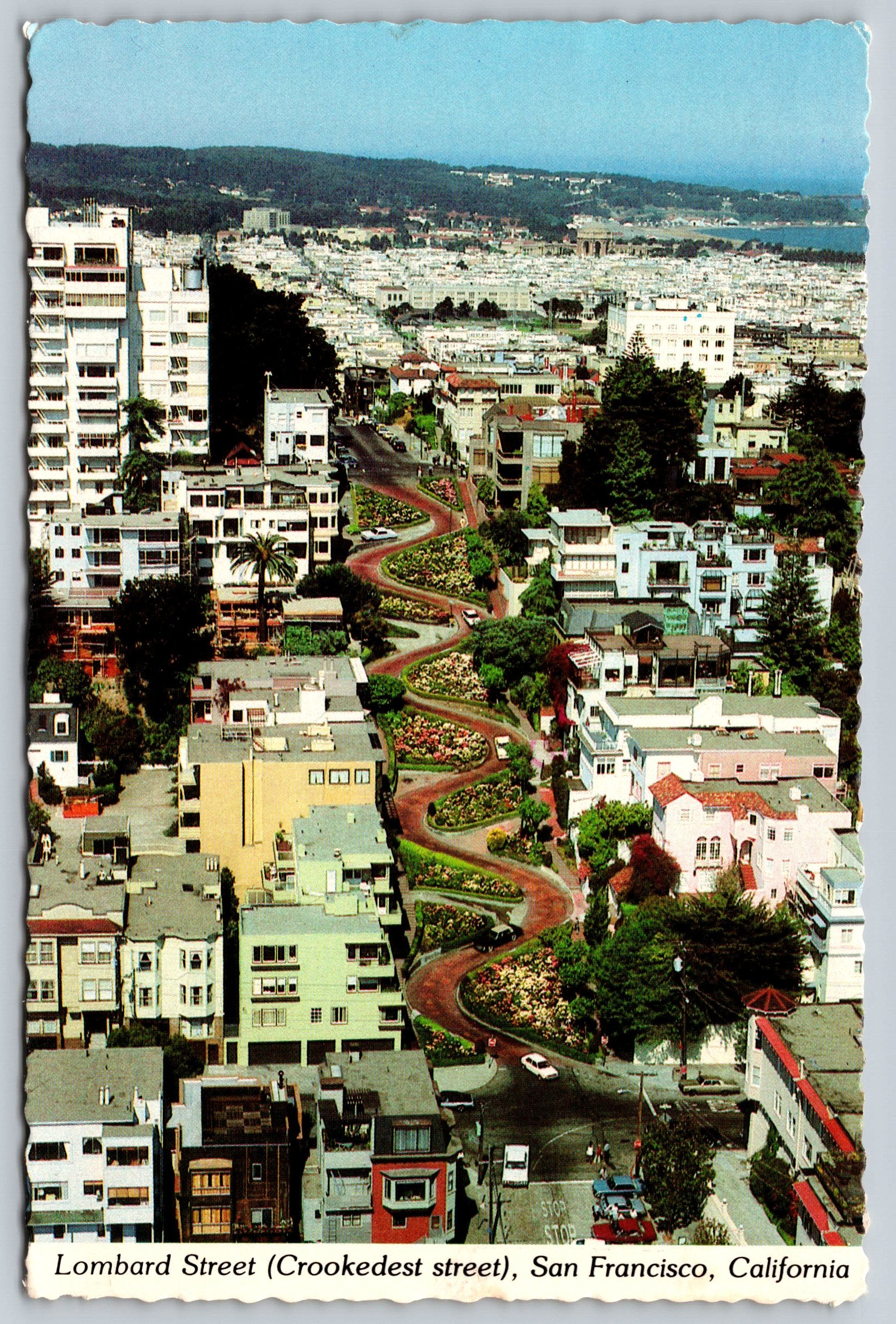 Lombard Street, San Fransisco, California, Vintage Post Card