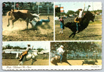 Rodeo, Bull Riding, Oklahoma, Vintage Post Card