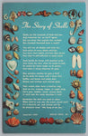The Story Of Shells, Vintage Post Card