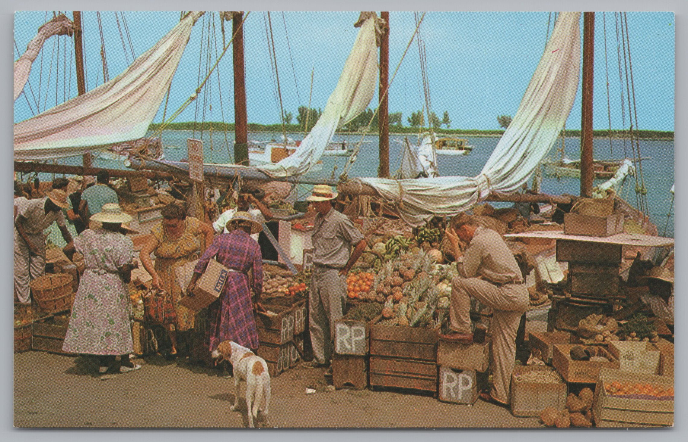 Native Water Front Market, Nassau In The Bahamas, Vintage PC