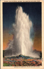 The Old Faithful Geyser, General HD Washburn, Vintage Post Card