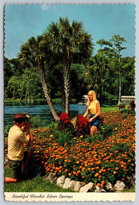 Bloomed Flowers, Florida Silver Springs, Vintage Post Card