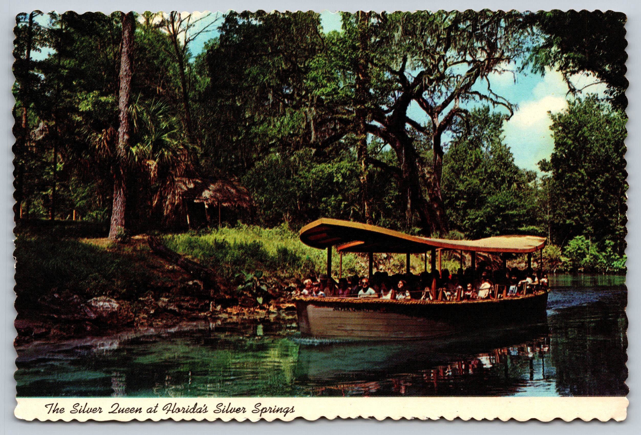 The Sliver Queen, Florida, Silver Springs, Vintage Post Card