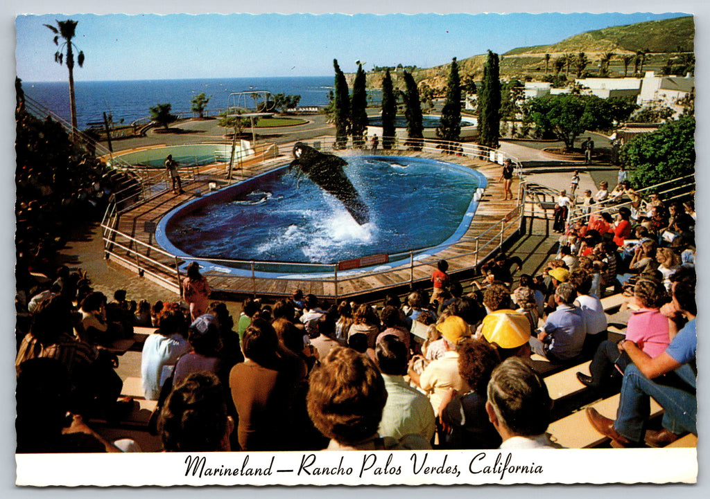 Marineland, Rancho Palos Verdes, California, Vintage Post Card