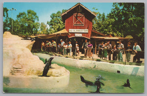 The Seal Pool And Old Mac Donalds Farm, Knotts Berry Farm, Vintage Post Card.