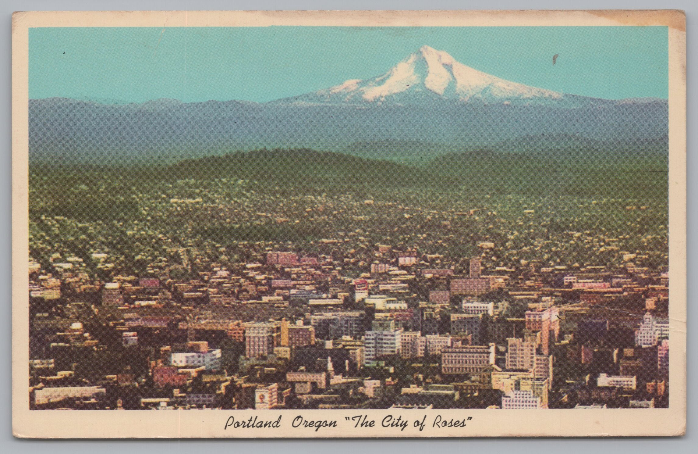 The City Of Roses, Portland, Oregon, USA, Mount Hood, Vintage Post Card.