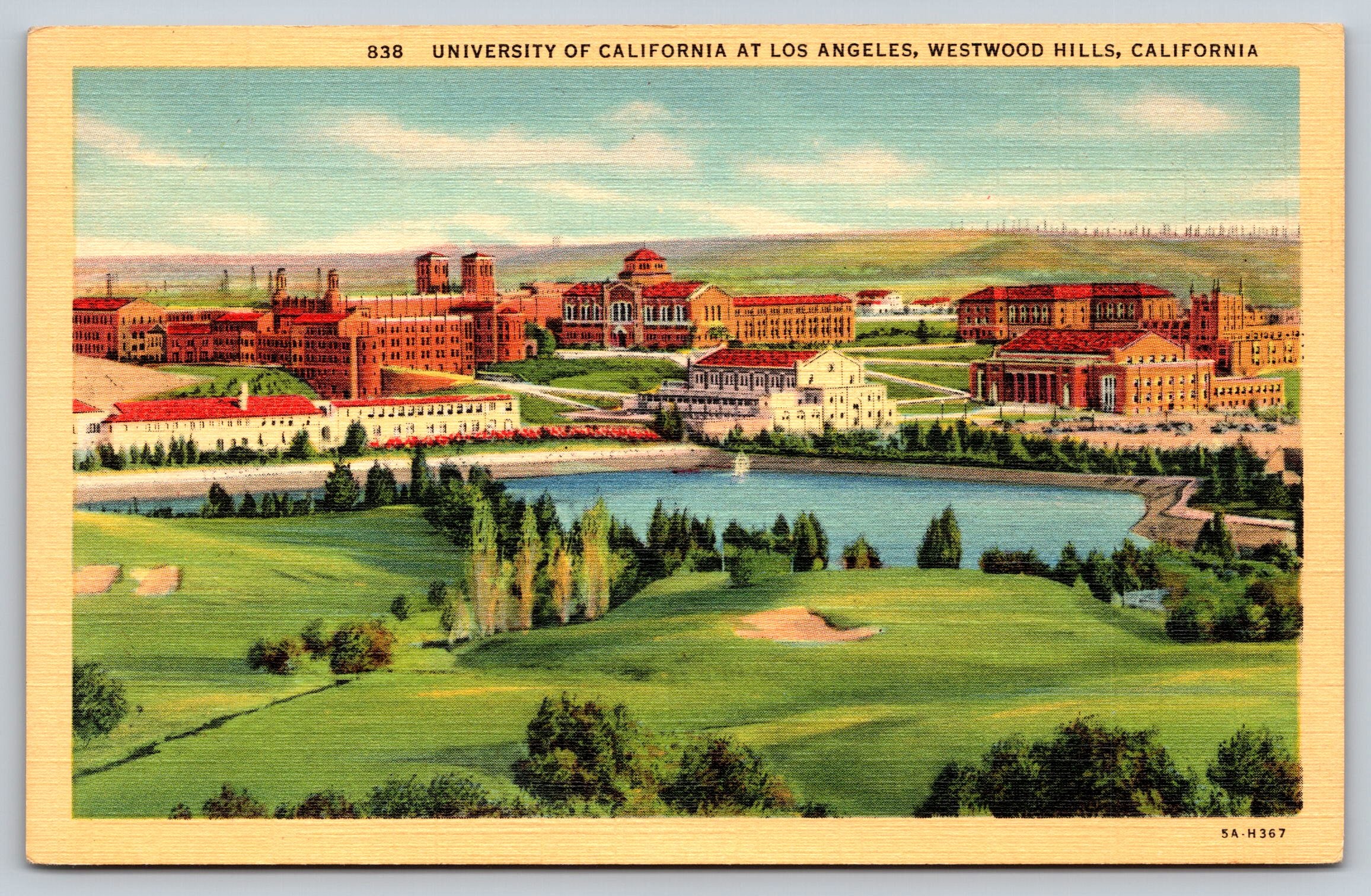 University California, Los Angeles, Westwood Hills,Vintage Post Card