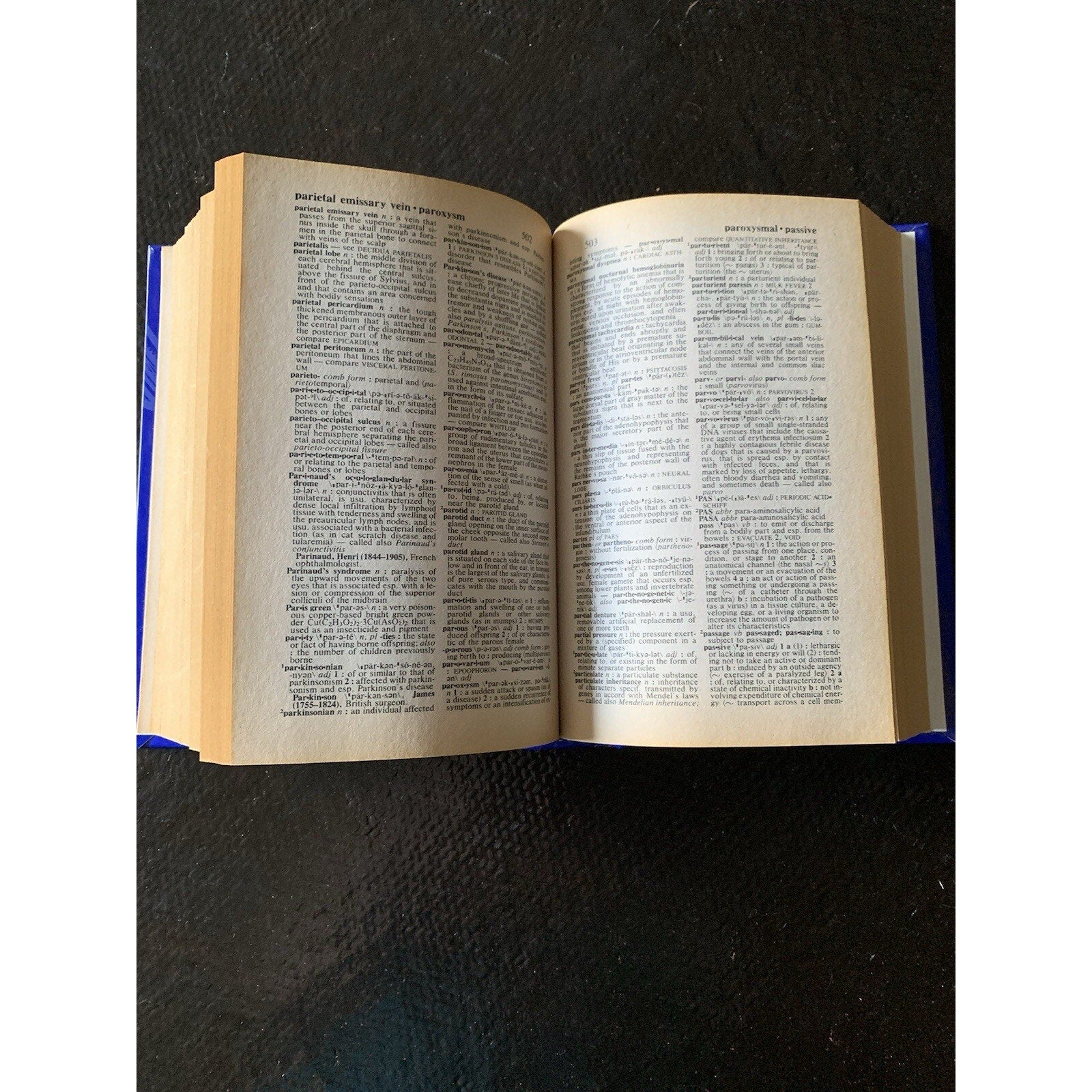 Webster's New Explorer Medical Dictionary Family Medical Reference HC 1999