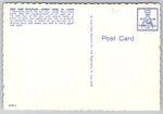 Zoo Line Railroad, Forest Park, St. Louis, Vintage Post Card