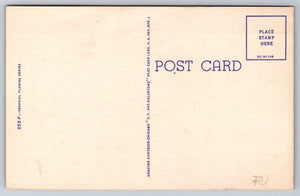 Short Story of The Legend ofThe Spanish Moss, Vintage Post Card